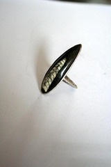 Killikus® Fotographie